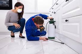 Emergency Pest Control Services in Lawrenceville, VA